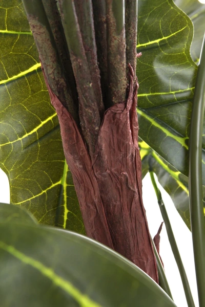 Sztuczna Alokazja drzewko 180 cm 22 liście gruby pień