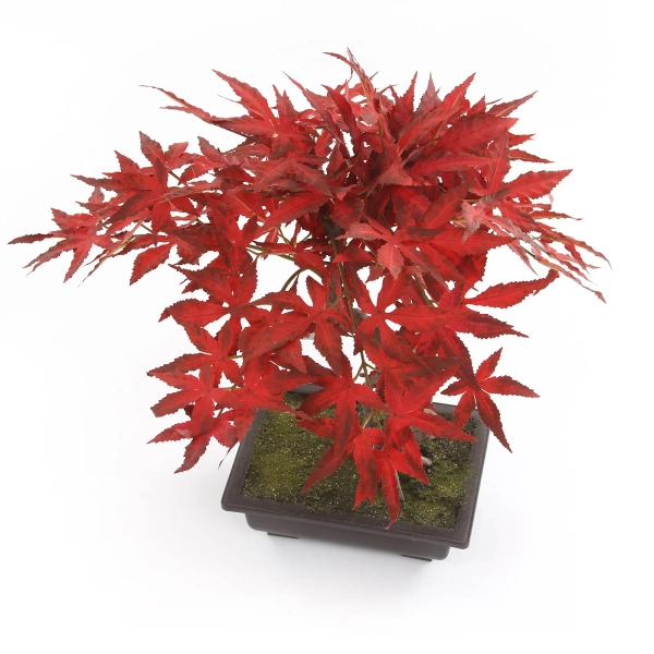 Sztuczny Bonsai Klon japoński 50 cm burgundy w doniczce