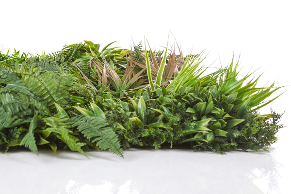 Mata Zielona Ściana panel z liści PREMIUM 100x100 cm