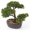 Sztuczne drzewko Bonsai Fikus mini 32 cm w brązowej doniczce