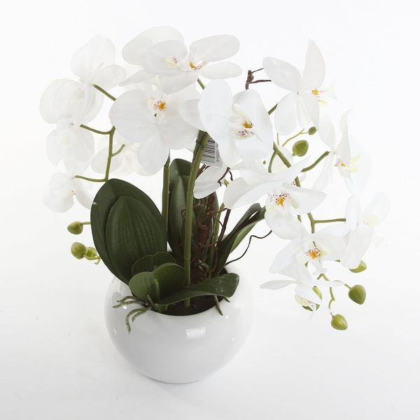 Sztuczny storczyk Phalenopsis 55 cm biały w białej ceramicznej doniczce