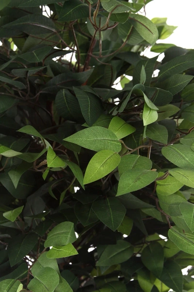 Sztuczny Ficus S 120 cm drewniany naturalny pień