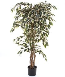 Sztuczny Fikus 150 cm biało-zielony