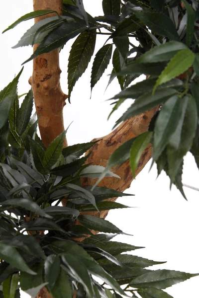 Sztuczny Bonsai Shirakashi 160 cm deluxe