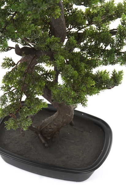 Sztuczne drzewko Bonsai MYRTLE 85 cm w czarnej doniczce