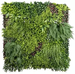 Sztuczna zielona ściana Premium 100x100 paprocie i mchy