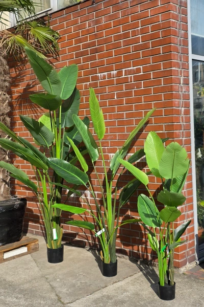 Sztuczna Strelicja nicolai wysoka 180 cm 13 liści