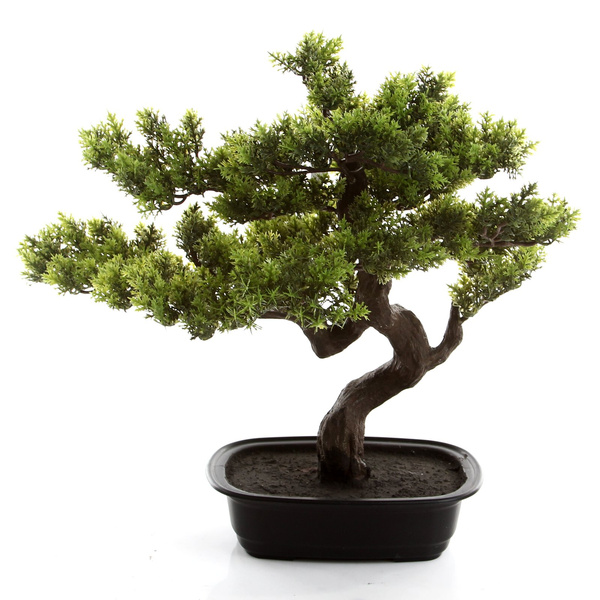 Sztuczny Bonsai Myrtle 40 cm w doniczce