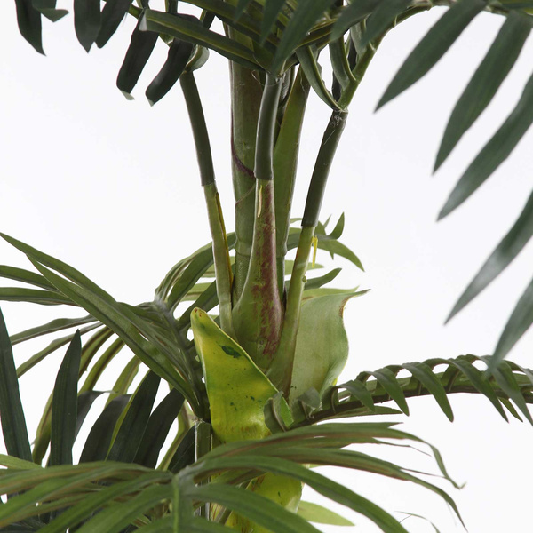 Sztuczna palma Areka 170 cm rozpiętość 145 cm