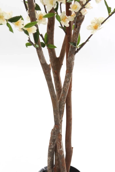 Sztuczna Wiśnia 170 cm kremowa