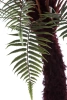 Sztuczna paproć Dicksonia 125 cm