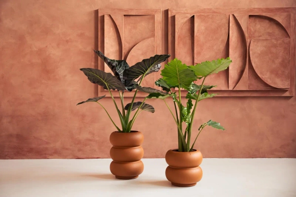 Amber Roll Low 43/40 designerska donica karmelowa