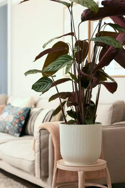 Zestaw do hydroponiki 18/19 osłonka Vibes 22 biała wkład wskaźnik