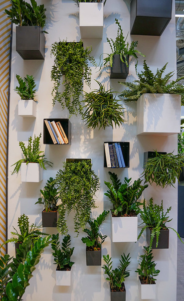 OSLO 11x11/11 doniczka kwadratowa kubik zielona dry green