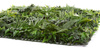 Sztuczna Zielona ściana mata 100x100 mix roślin UV wodoodporna