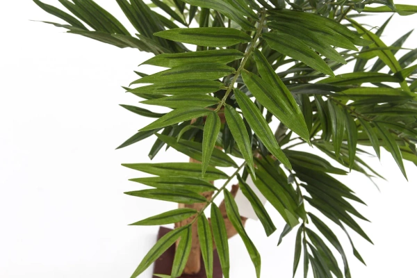 Sztuczna Palma Chamedora na drewnianym pniu 65 cm