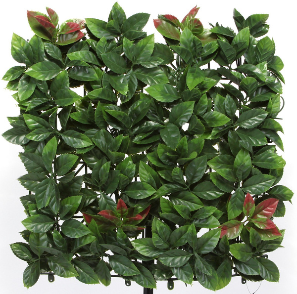 Sztuczna zielona ściana mata Głownik Photinia 50x50 UV wodoodporna
