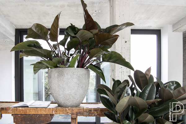 BERND XL 66/75 donica naturalna tekstura cesarska biel