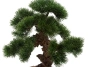 Sztuczne drzewko Bonsai Pinus Sosna 37 cm w białej doniczce
