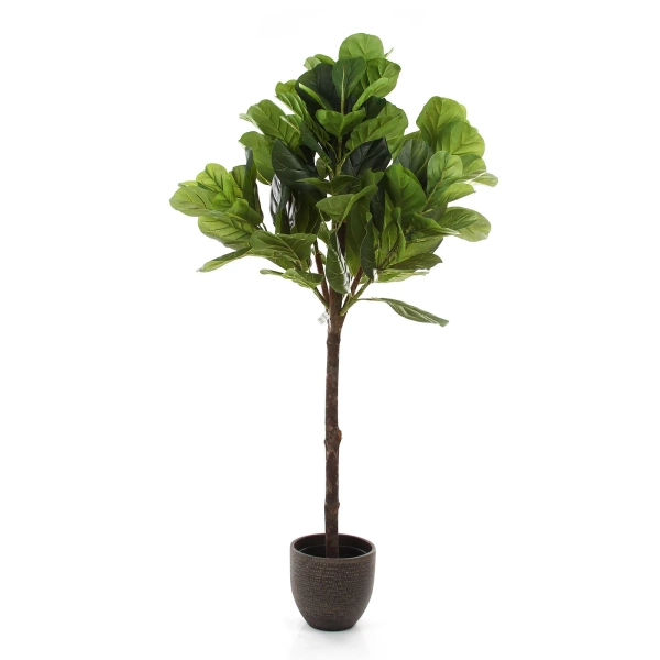 Sztuczny Fikus Lyrata dębolistny 150 cm