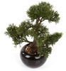 Sztuczne drzewko Bonsai Cedr 34 cm w czarnej ceramicznej doniczce