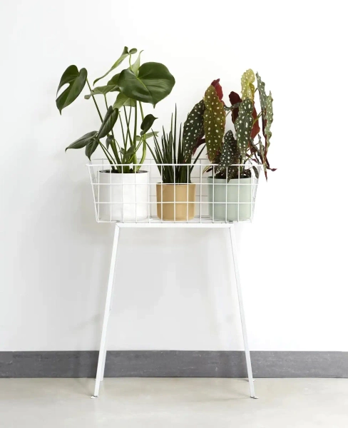 B. For Soft Round 18 cylindryczna osłonka złota golden sand