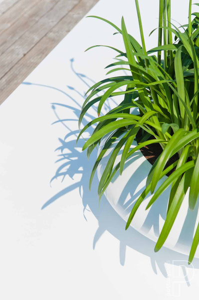 Tara L 80/30 płaska donica lakierowana biała połysk