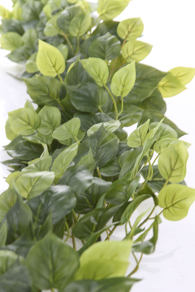 Sztuczny Filodendron długie gęste pnącze 180 cm