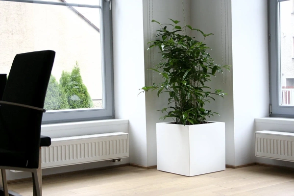 Kube 50x50/50 donica kubik szara cement