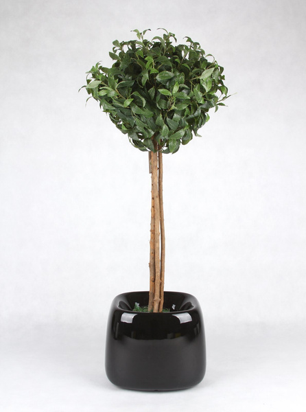 ORGANIC SQUARE 42x38/32 nowoczesna donica lakierowana czarna na kółkach