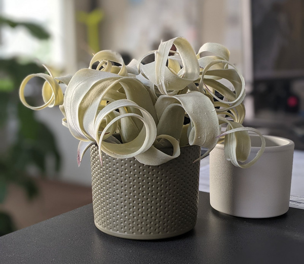 ERA 12/10 osłonka ceramiczna w kropki zielona