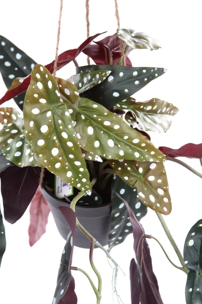Sztuczna Begonia Maculata wisząca 80 cm w doniczce
