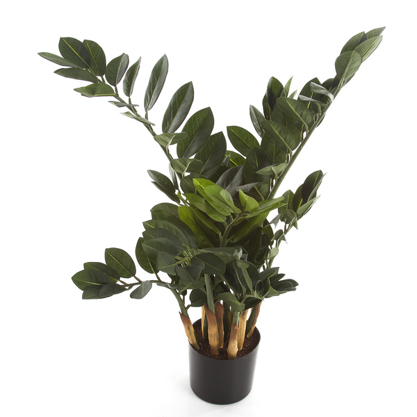 Sztuczna Zamia Zamioculcas Smaragd 66 cm 9 pędów