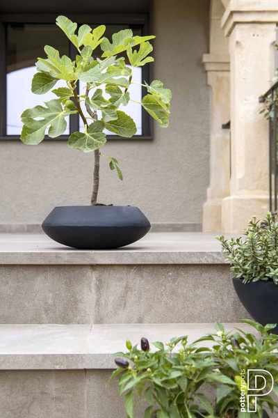 Tara S 40/15,5 doniczka płaska czarna