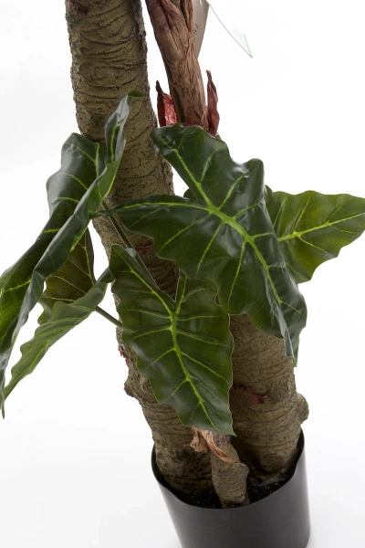 Sztuczna Alokazja drzewko 180 cm 22 liście gruby pień
