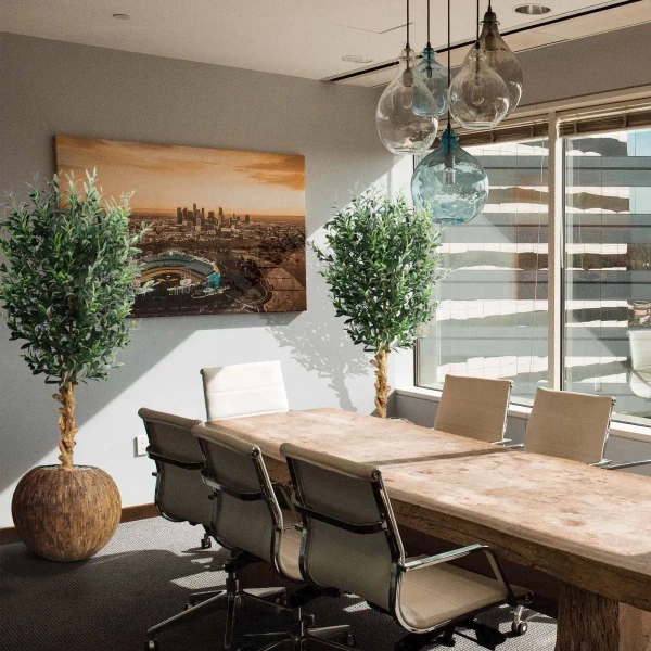 Sztuczna Oliwka 155 cm na grubym pniu deluxe