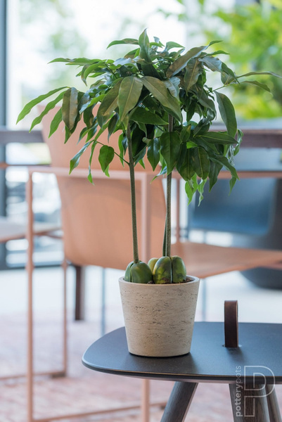 Mini Bucket M 16/15 szara kamienna doniczka cementowa