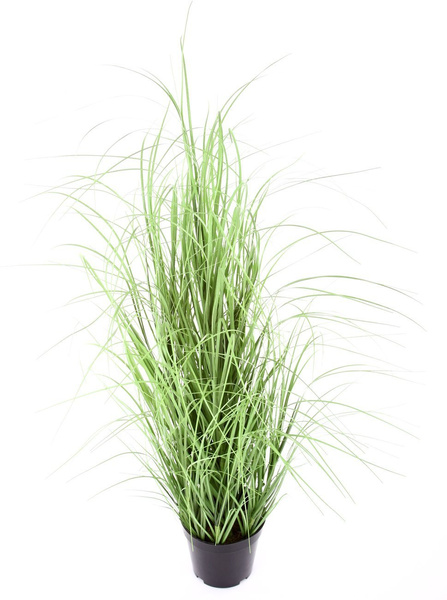 Sztuczna trawa w doniczce 75 cm jasnozielona