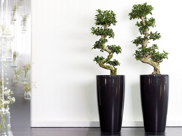 SANTORINI 33/65 donica z wkładem taupe z połyskiem