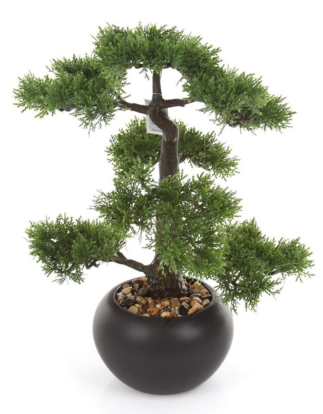 Sztuczne drzewko Bonsai Cedr 48 cm w czarnej doniczce