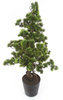Sztuczne drzewko Bonsai Sosna Pinia 110 cm