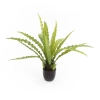 Sztuczne asplenium paproć 46 cm w doniczce