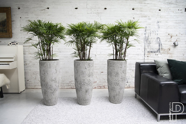 Dax M 24/60 wysoka doniczka naturalna cesarska biel / imperial white