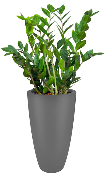 Pure Soft Round High 30/53 antracytowa donica wysoka szara