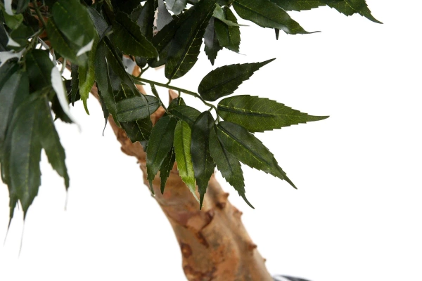 Sztuczny Bonsai Shirakashi 100 cm