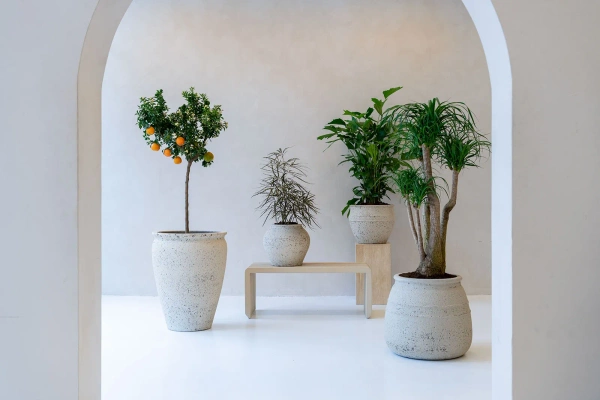 Athena S 28/24 doniczka w śródziemnomorskim stylu