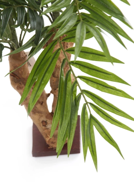 Sztuczna Palma Chamedora na drewnianym pniu 65 cm