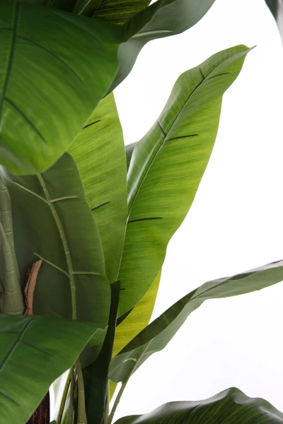 Sztuczny Bananowiec 180-200 cm