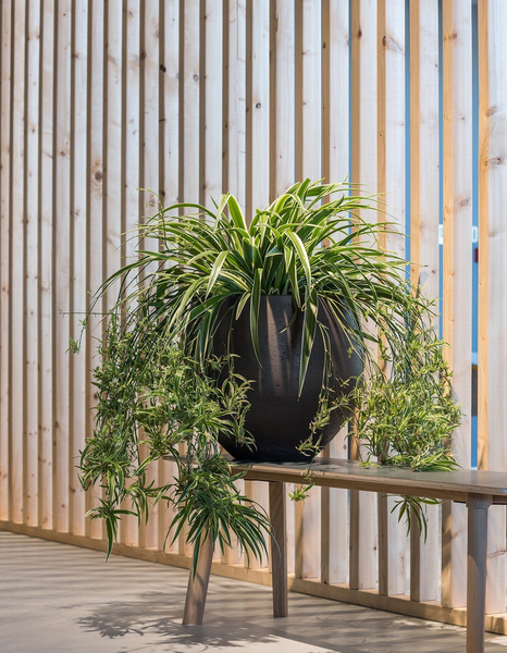 Mini Orb L 32/28 donica kulista okrągła czarna