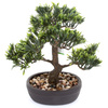 Sztuczne drzewko Bonsai Podocarpus 32 cm w brązowej doniczce